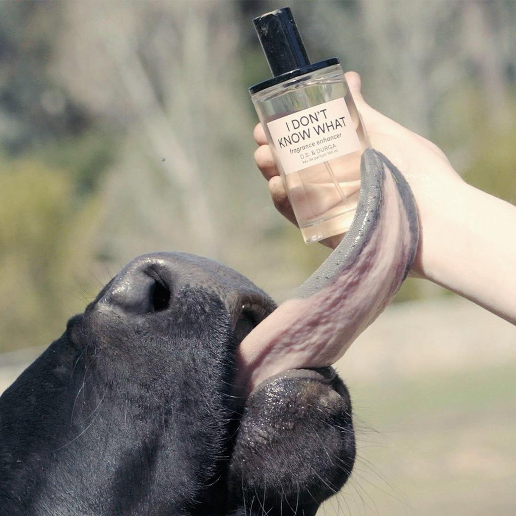 The Art of Choosing the Perfect Niche Perfume