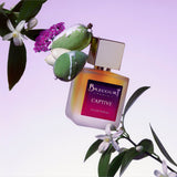 Captive - Brecourt - FABLAB AB