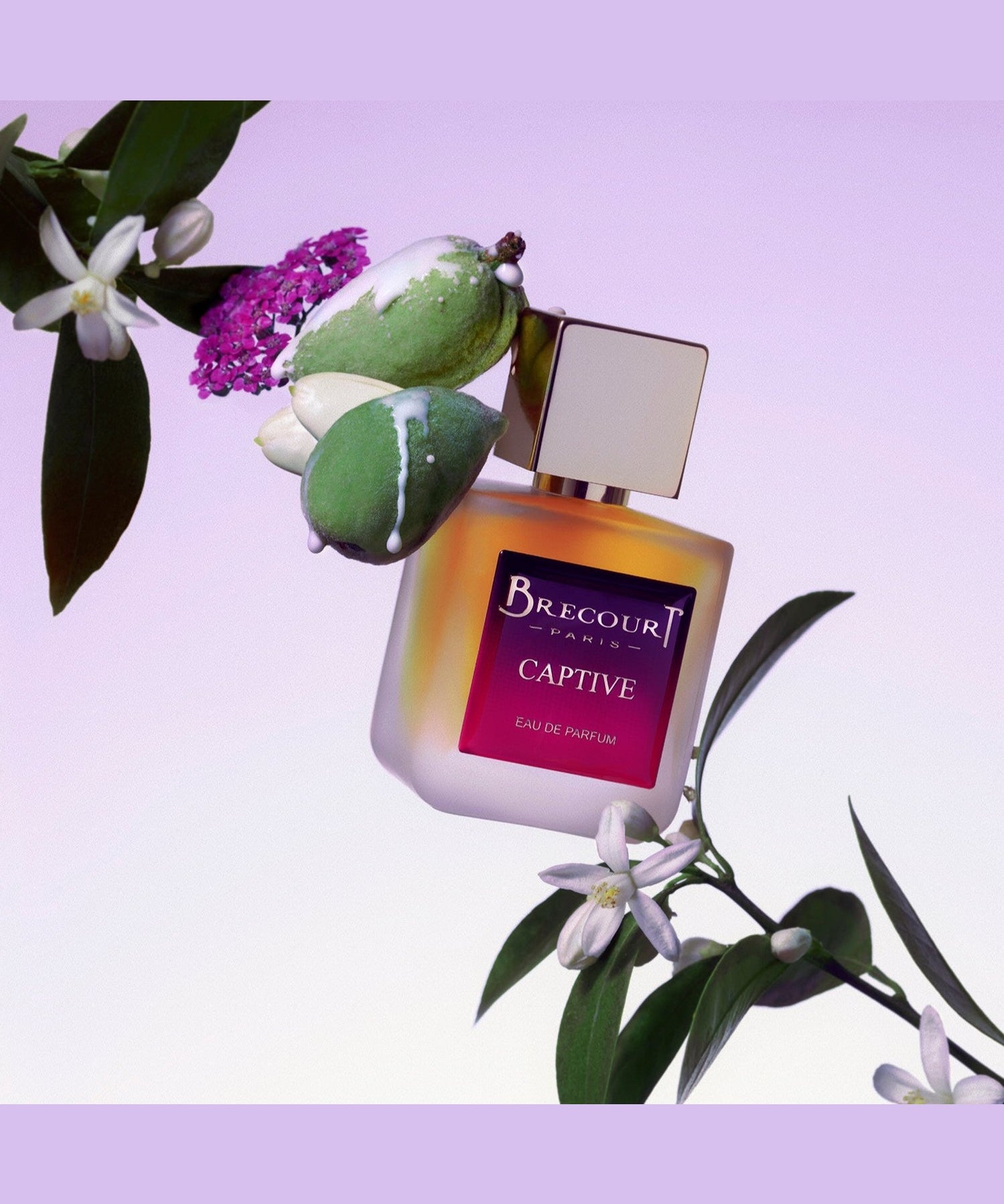 Captive - Brecourt - FABLAB AB