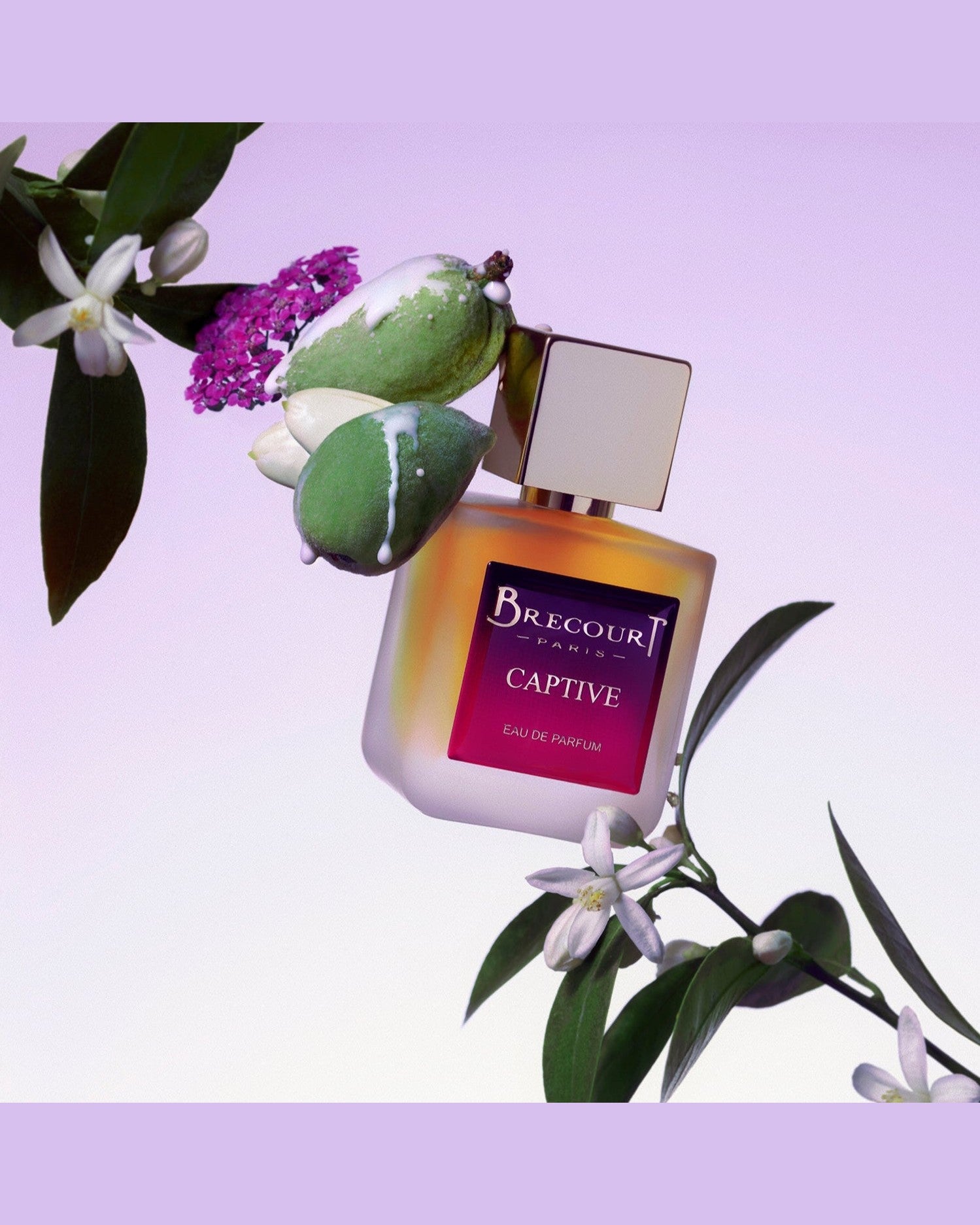 Captive - Brecourt - FABLAB AB