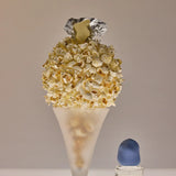 Corn Star – Fascent – Poppade popcorn, kokosvatten och sesam | FABLAB