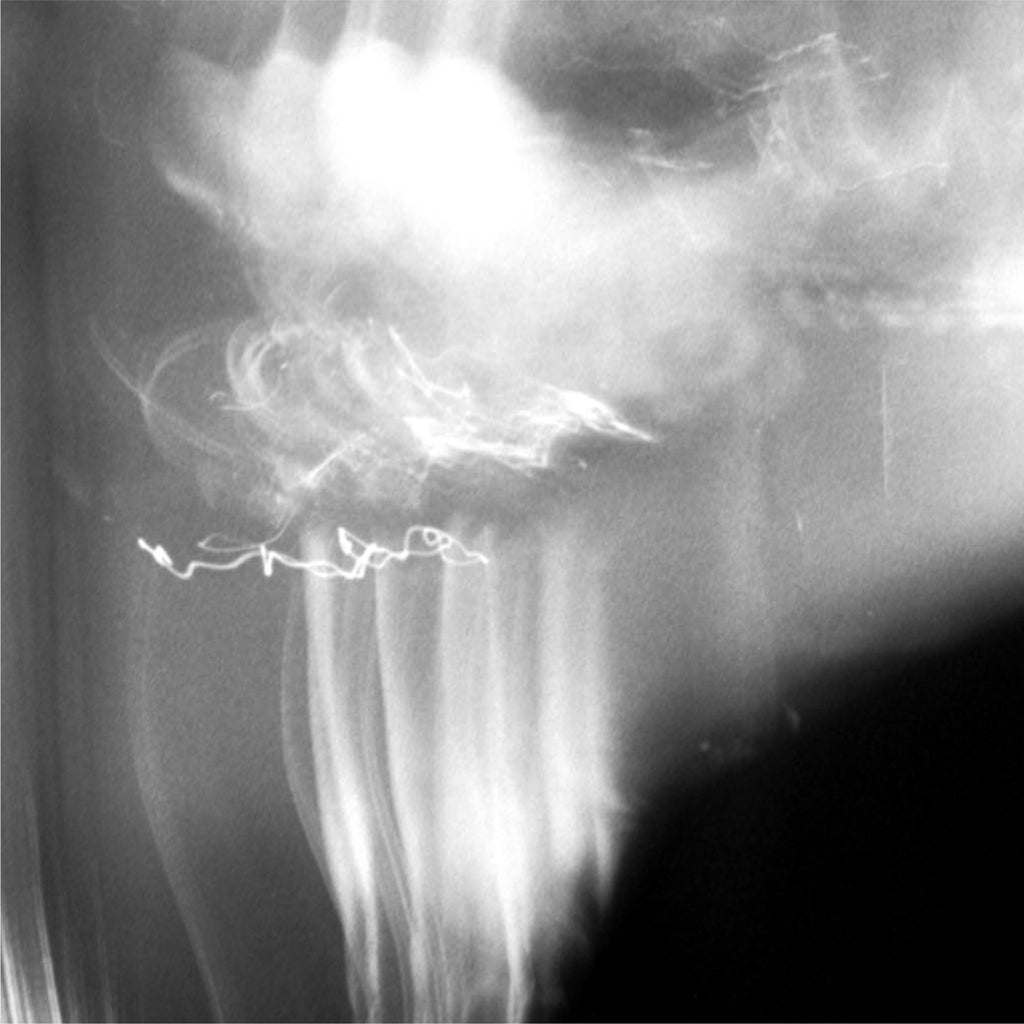 Ruméa - Brodēon - FABLAB AB