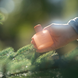 No. 39 Sol eau de parfum sprejas i skogen
