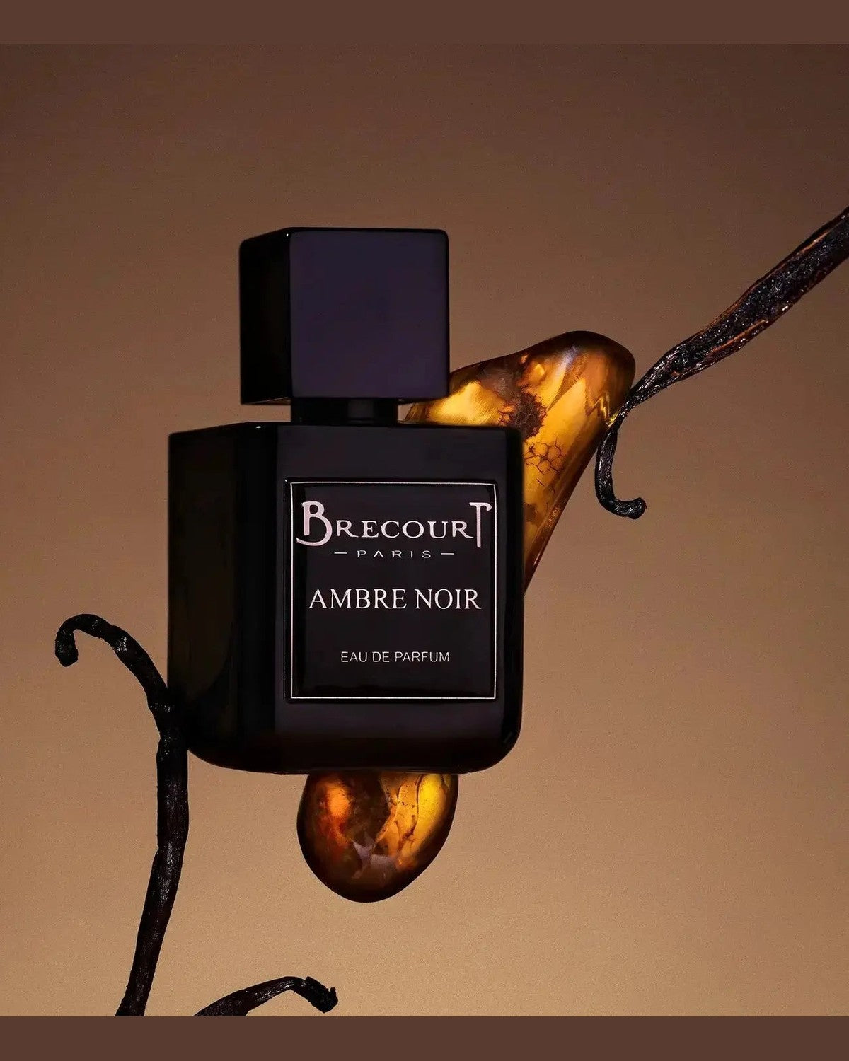 Ambre Noir - Brecourt - FABLAB AB