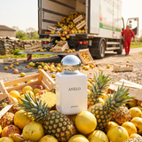 Anelo – Pernoire – ananas & amber | FABLAB - FABLAB AB