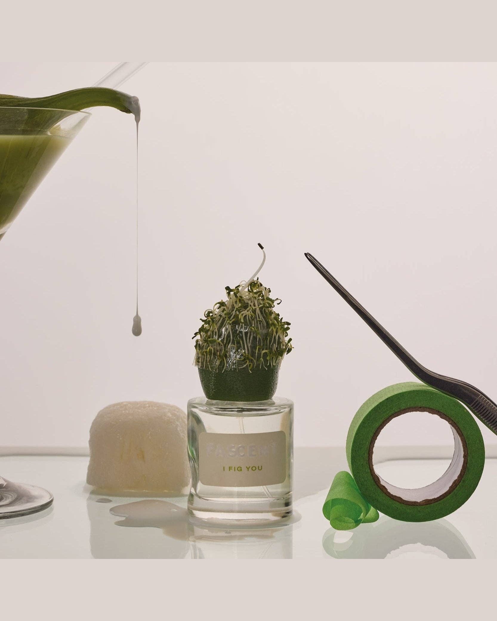 I FIG YOU - Fascent - FABLAB AB