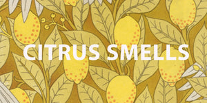 Citrus Smells - FABLAB AB