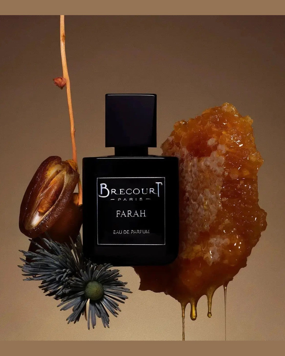 Farah - Brecourt - FABLAB AB