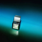 Sweat, Tears, Paradise - Discothèque - FABLAB AB