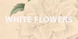 White Flowers - FABLAB AB